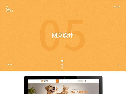 网页设计