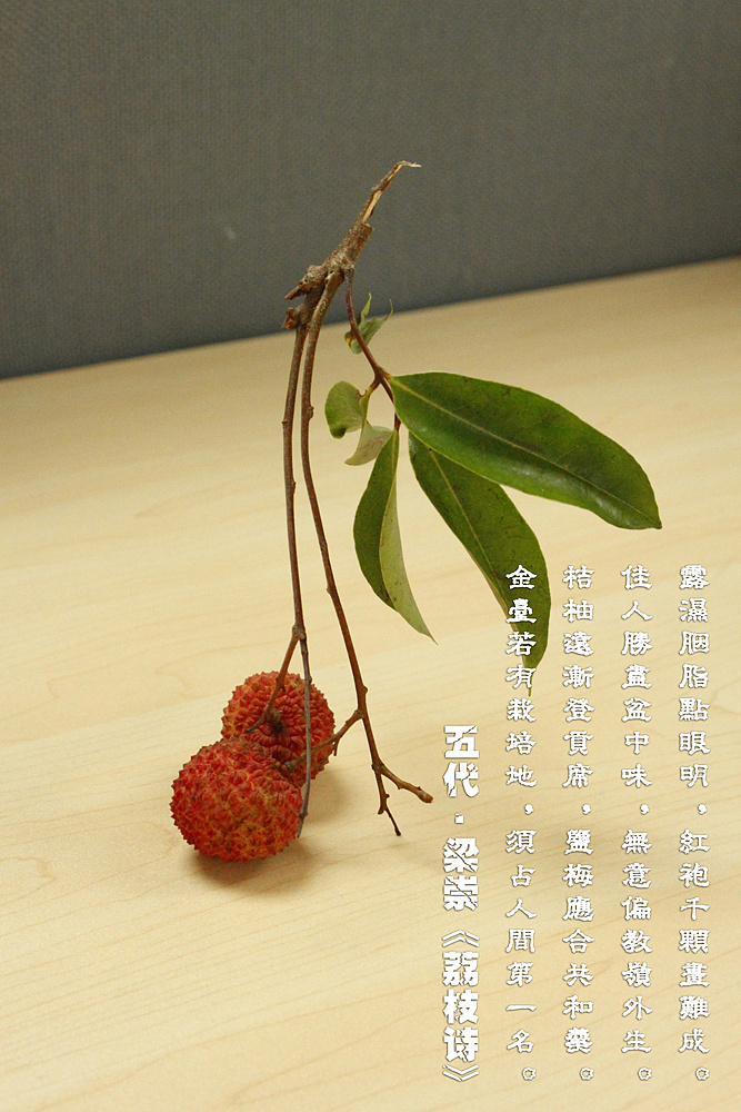 水果摄影(荔枝)