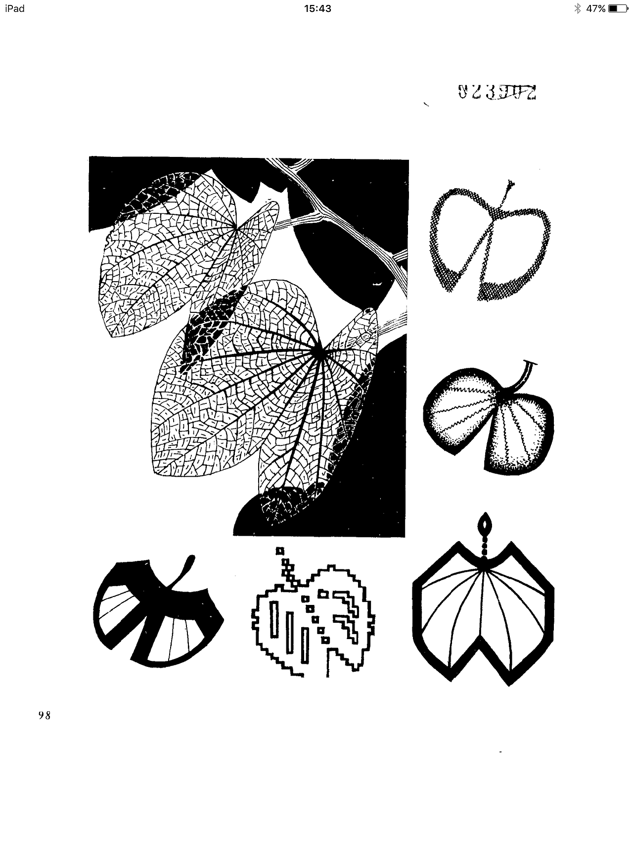 艺术设计考研装饰画素材——植物篇