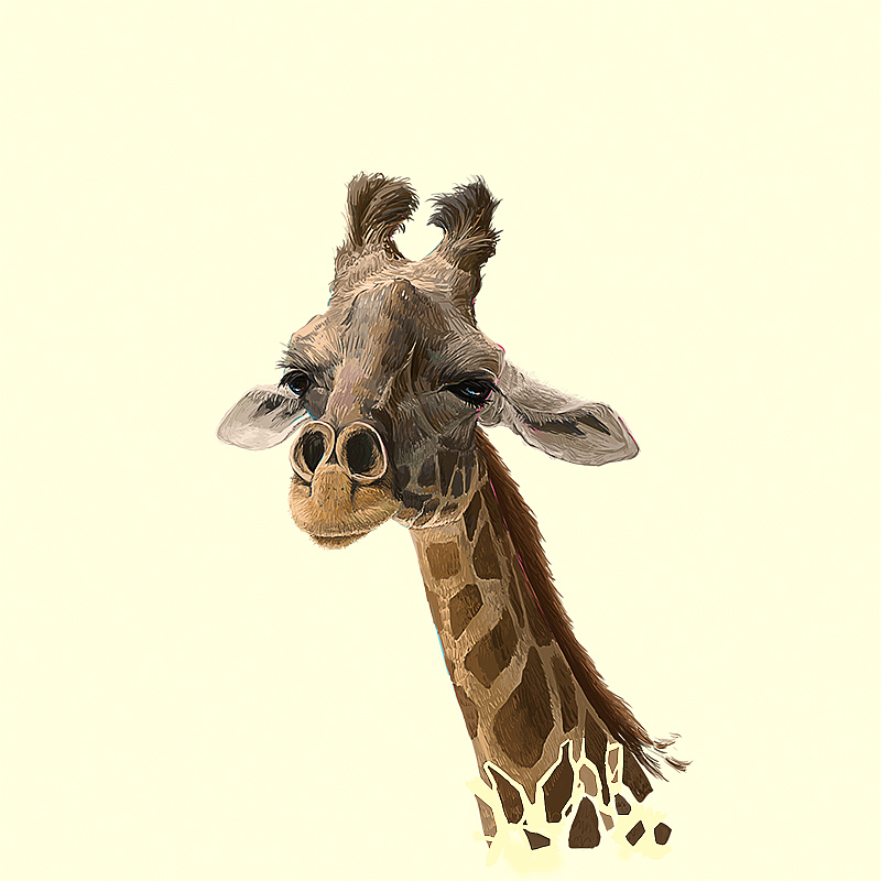 一波动物手绘+绘画过程动图