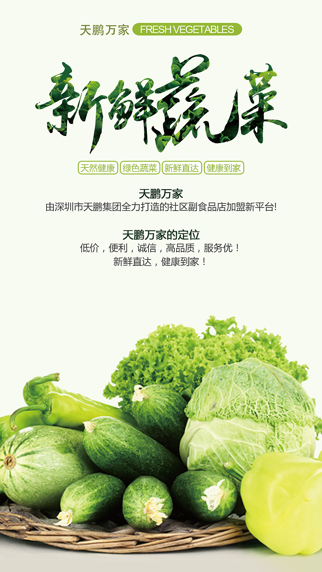 蔬菜宣传海报,单页