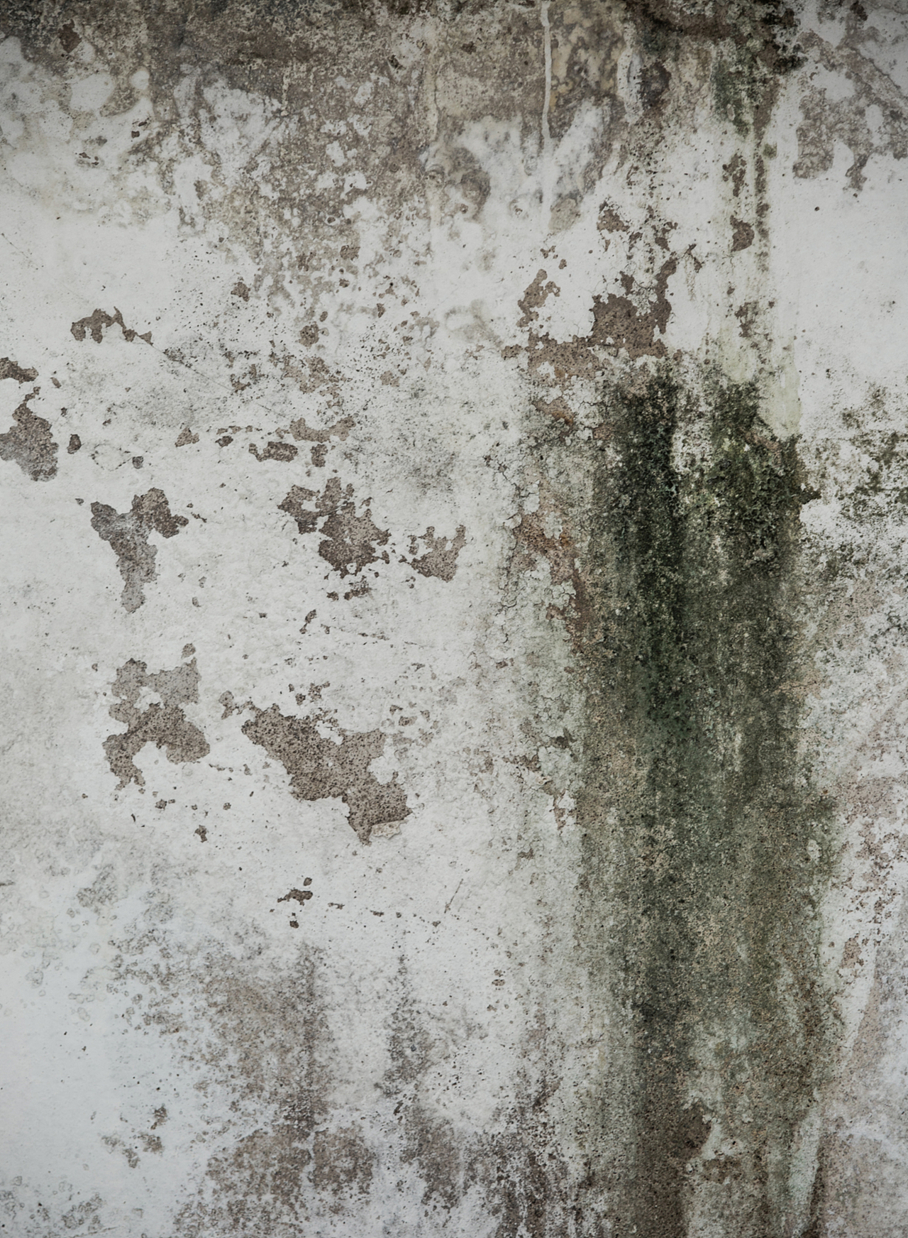 失踪旅馆&不见酒店