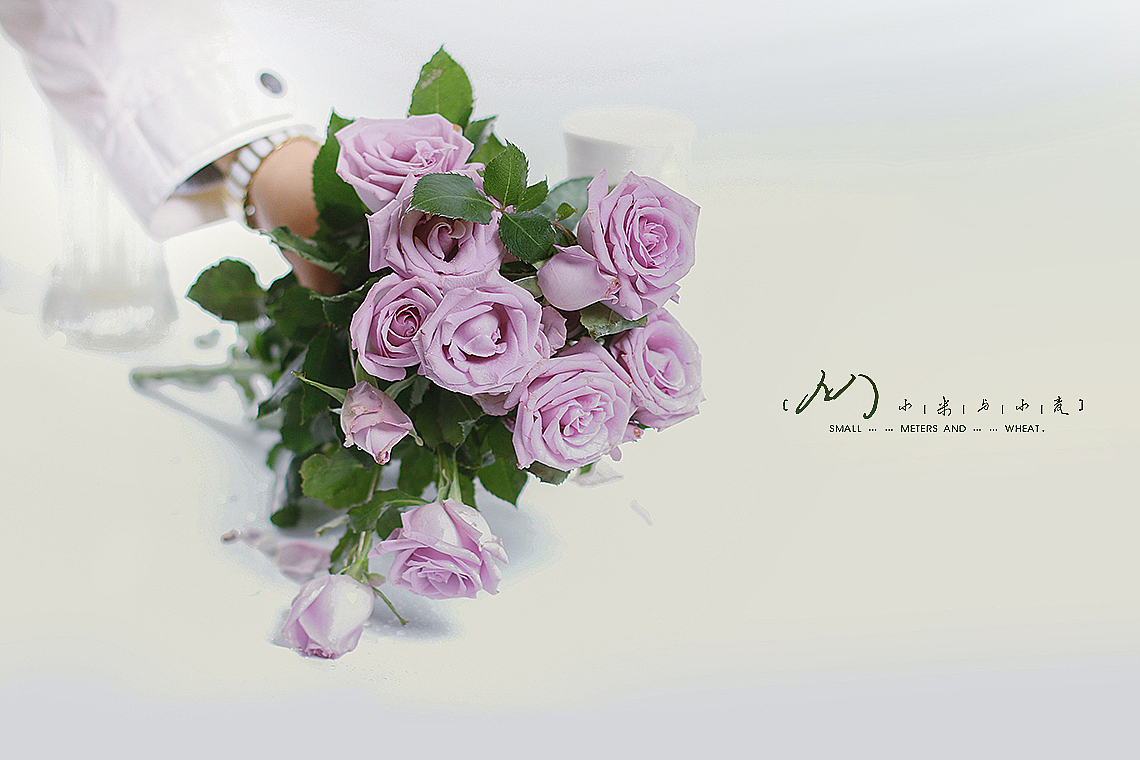 Flower-紫精灵（图ZOTc2MjE0MzY=） - 产品摄影 - 站酷设计师小米与小麦原创素材 - 站酷ZCOOL