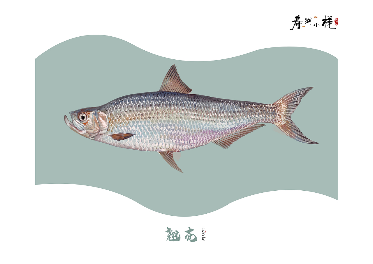 《鱼》（图ZMTYwNDE4ODky） - 书籍/画册 - 站酷设计师ANEAL原创素材 - 站酷ZCOOL