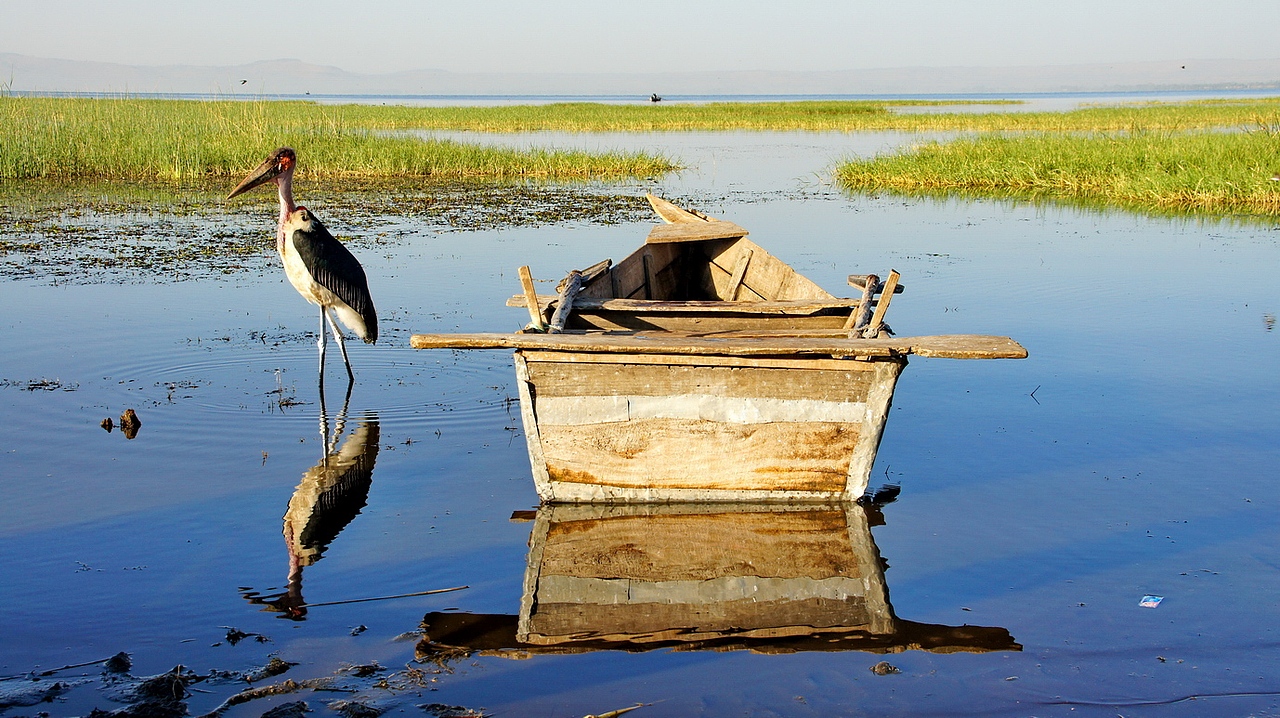 骑在埃塞-阿瓦萨湖的傍晚和早晨