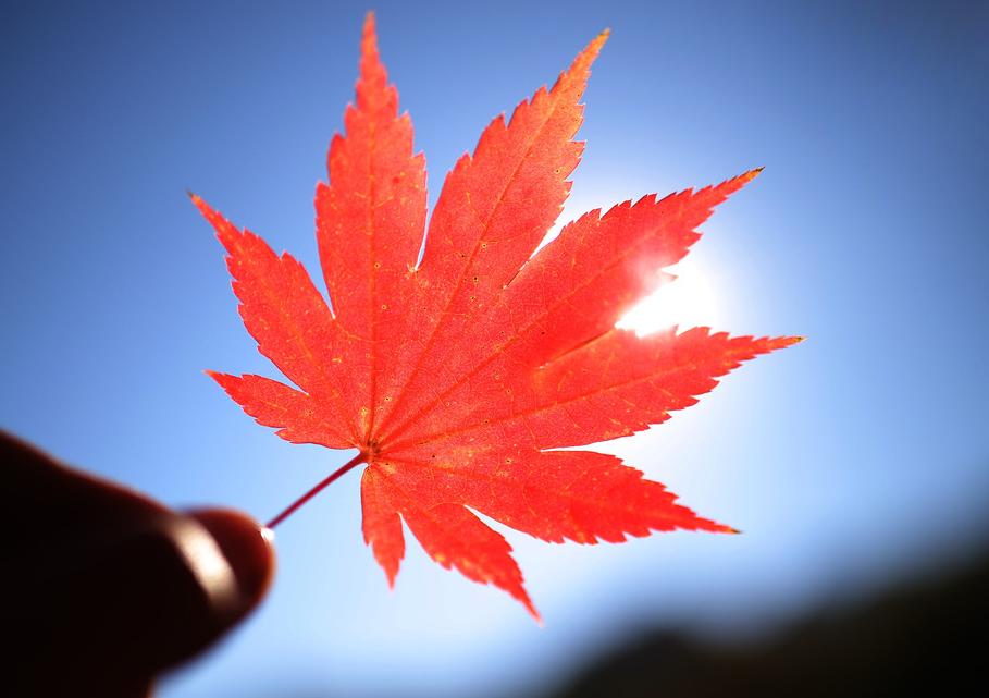 Pinda的个人主页（背景预览） - 主页背景设置 - 站酷设计师Pinda原创素材 - 站酷ZCOOL