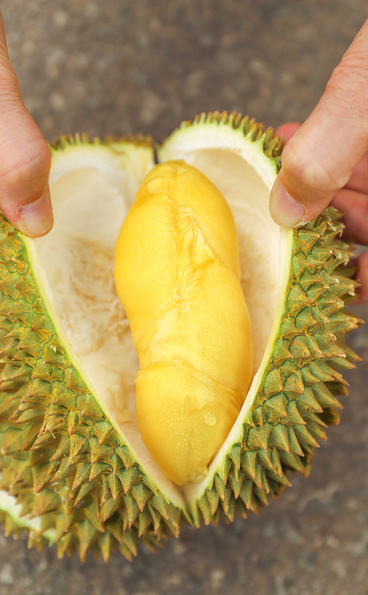 《泰国甲仑榴莲》户外拍一组