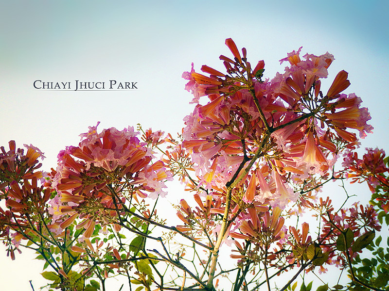 2014~2015隨手拍作品彙整