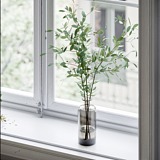 Sailigia的头像