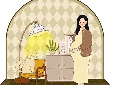 现代已婚女性生育观信息可视化