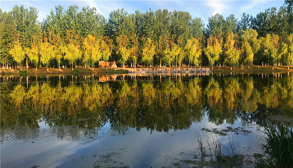 刘勇良手机纪事摄影:这里风光无限