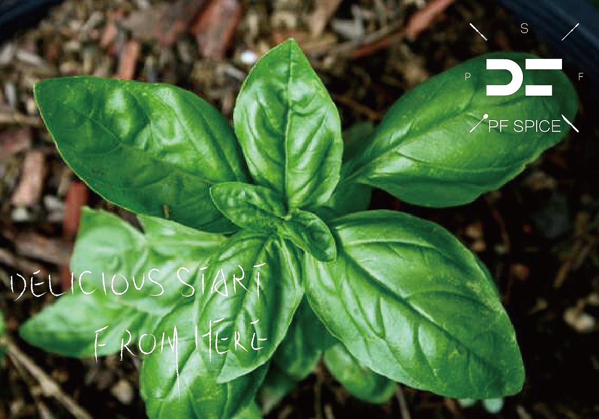 毕业设计——调味品包装设计之“彼埃夫岛”