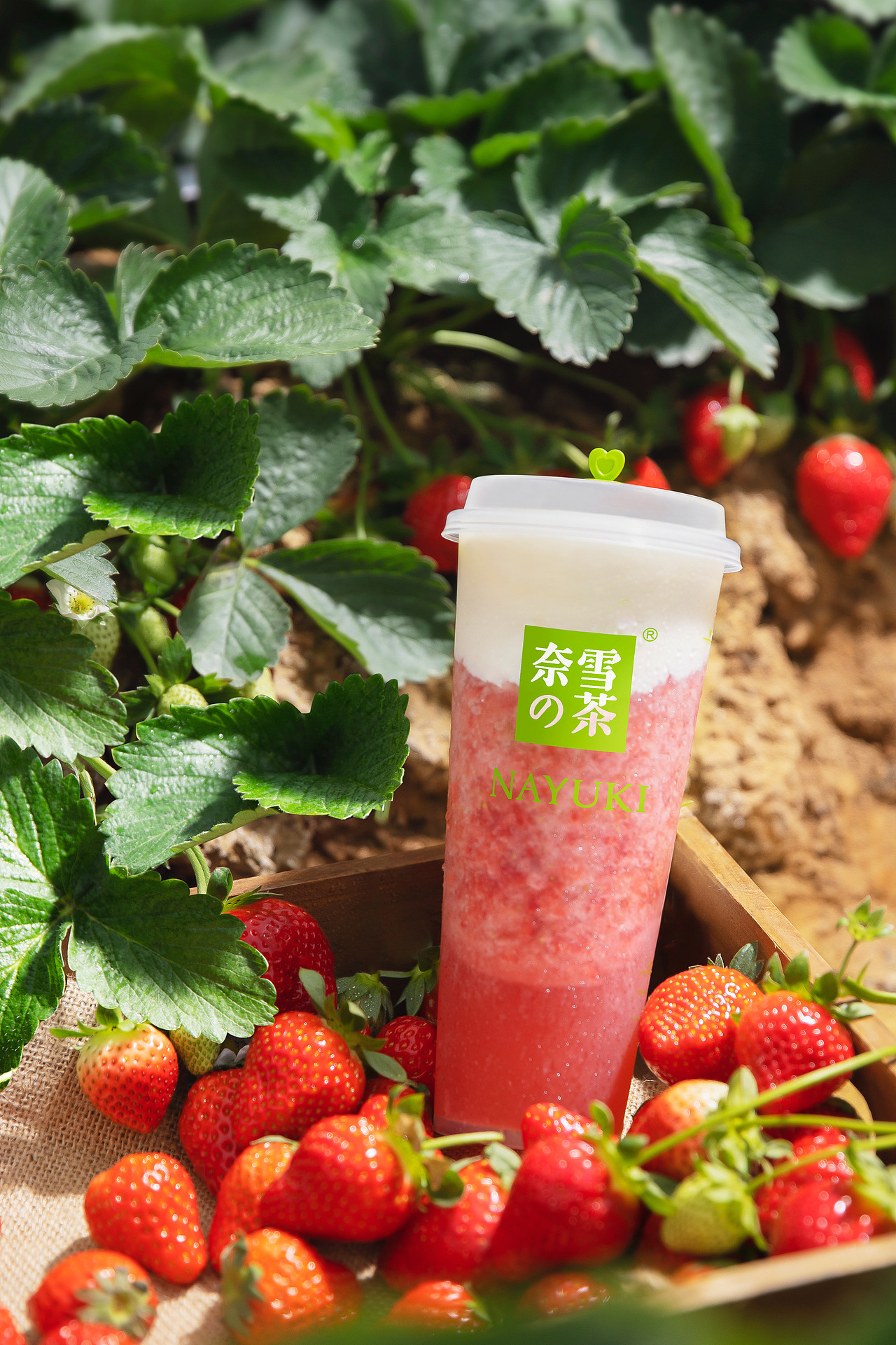 奈雪的茶｜霸气芝士草莓（图ZMjg5ODkwMzcy） - 美食摄影 - 站酷设计师摄影师有有猫在原创素材 - 站酷ZCOOL