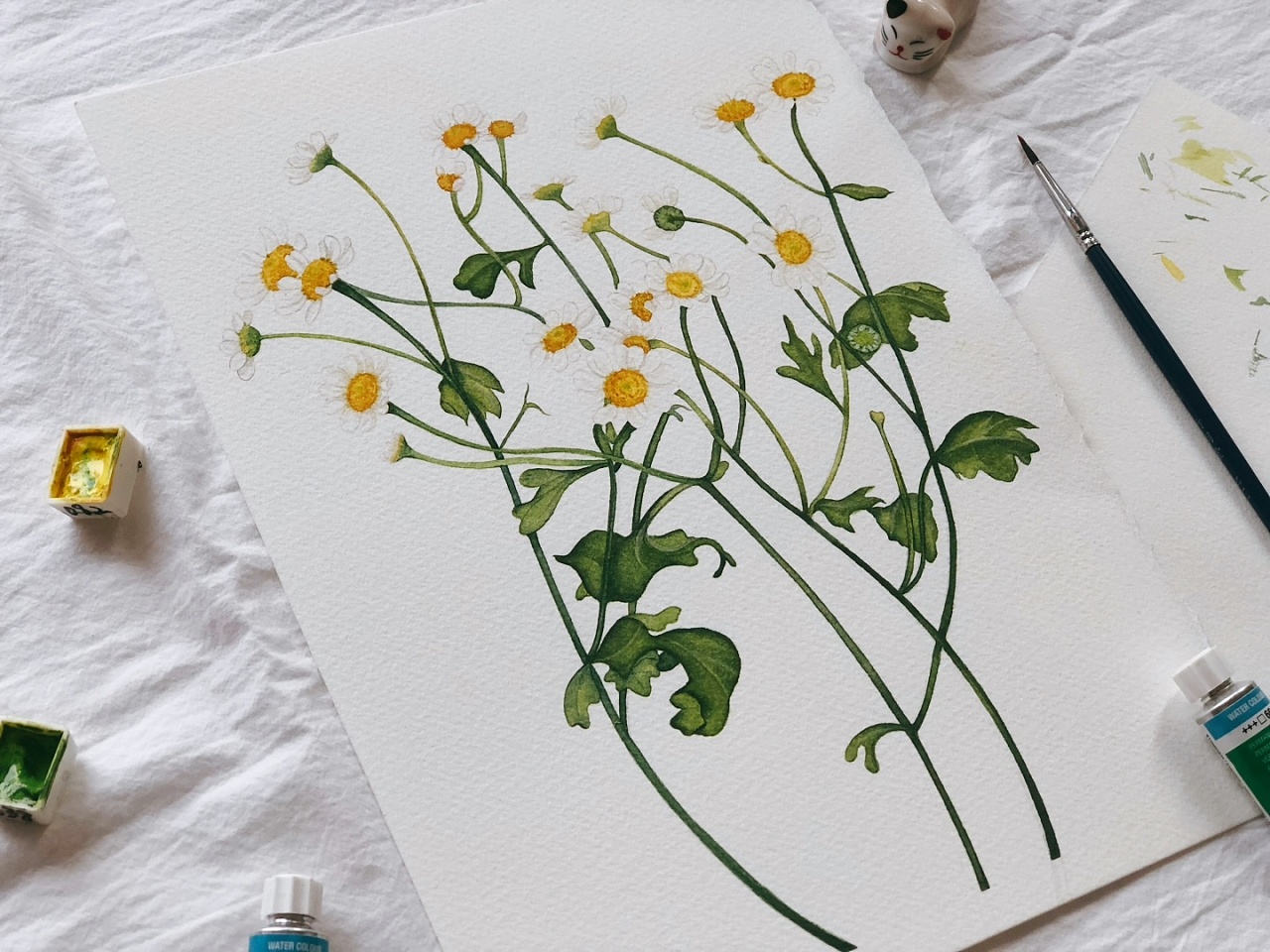 水彩| 洋甘菊