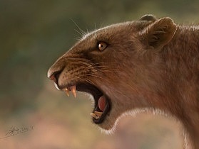 ipad上手绘－狮子（图ZMTM0Njc2MjE2） - 艺术插画 - 站酷设计师JudYin原创素材 - 站酷ZCOOL