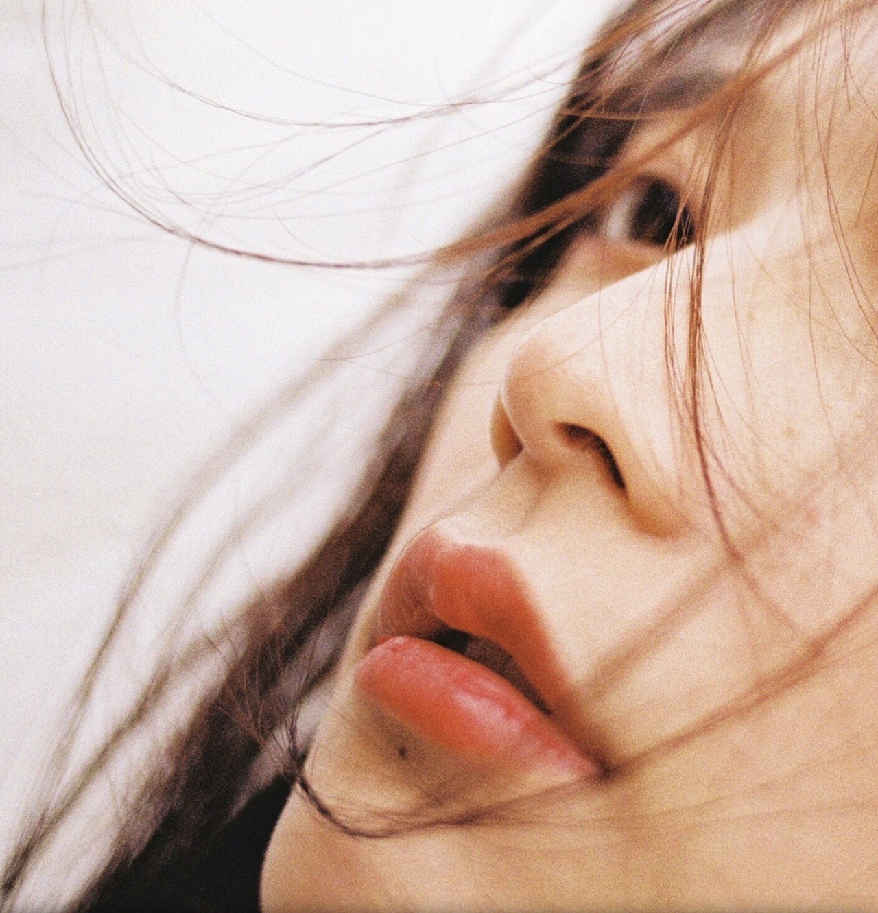 执子之手,与子偕老。