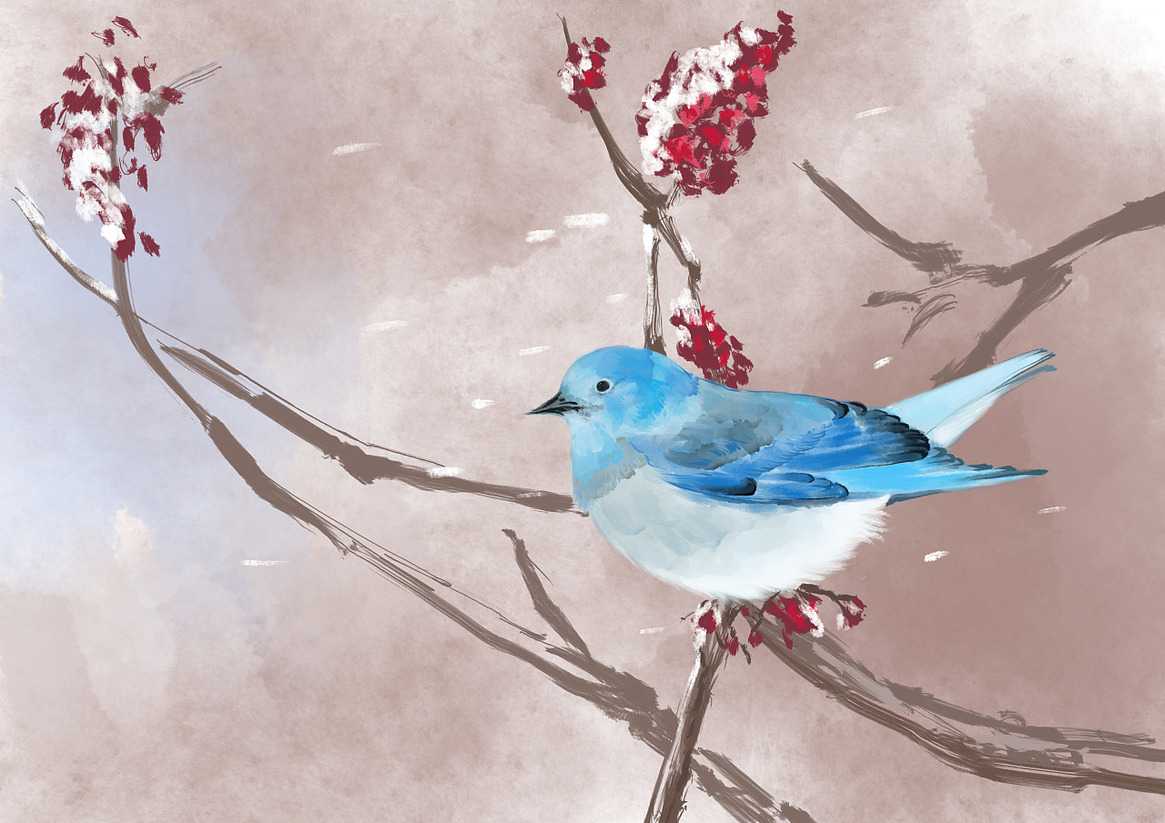 飞鸟|插画|创作习作|语亦_cy - 原创作品 - 站酷 (zcool)