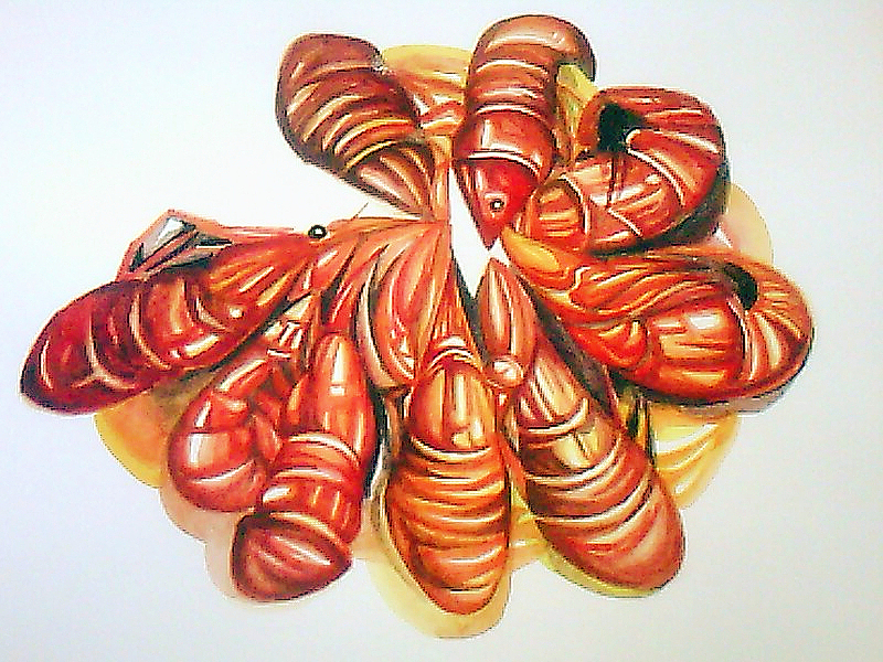 油焖大虾（图ZMTgxODgxNTI=） - 绘画 - 站酷设计师唯莹原创素材 - 站酷ZCOOL