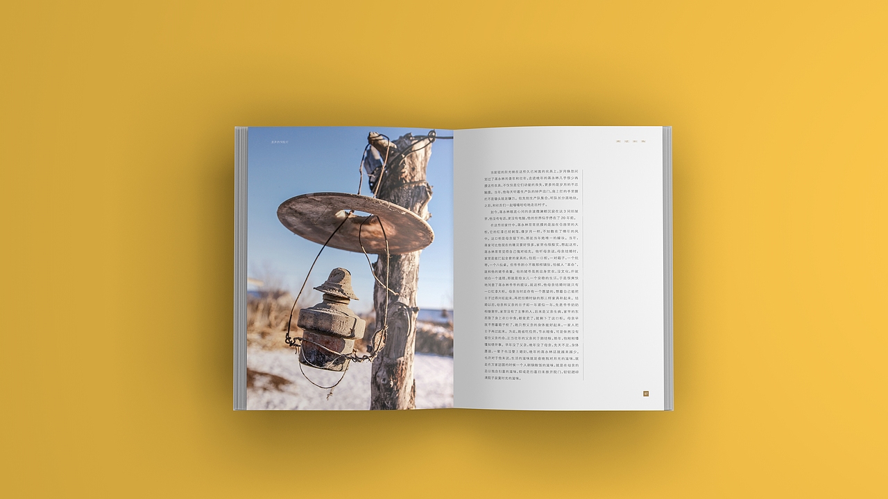 图书画册设计排版（图ZMTMyNDY4MTA4） - 书籍/画册 - 站酷设计师流芳百世的咸鸭蛋原创素材 - 站酷ZCOOL