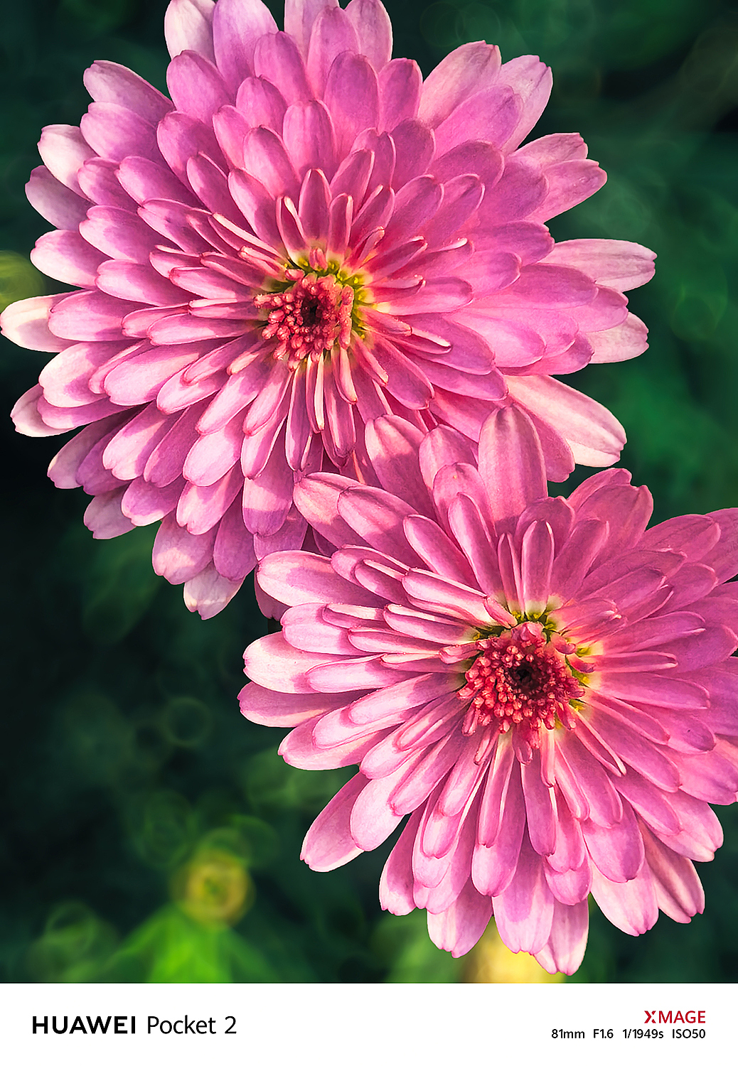 嘉阳小火车,这里是工业时代最后的遗迹