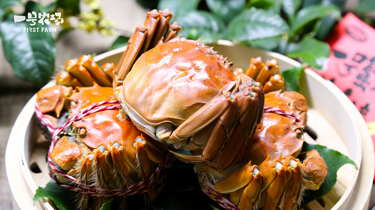 长荡湖大闸蟹拍摄