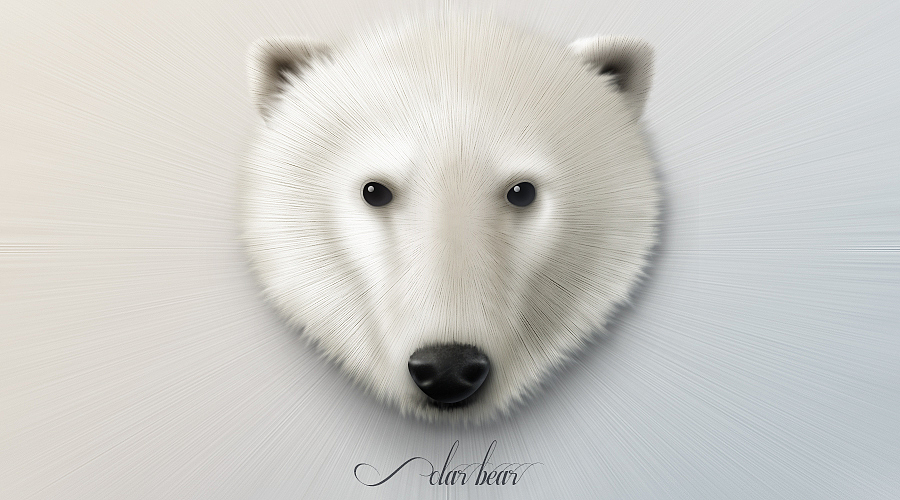 Polar Bear 一只白熊（图ZMTg5MDc4NjQ=） - 图标 - 站酷设计师大达原创素材 - 站酷ZCOOL