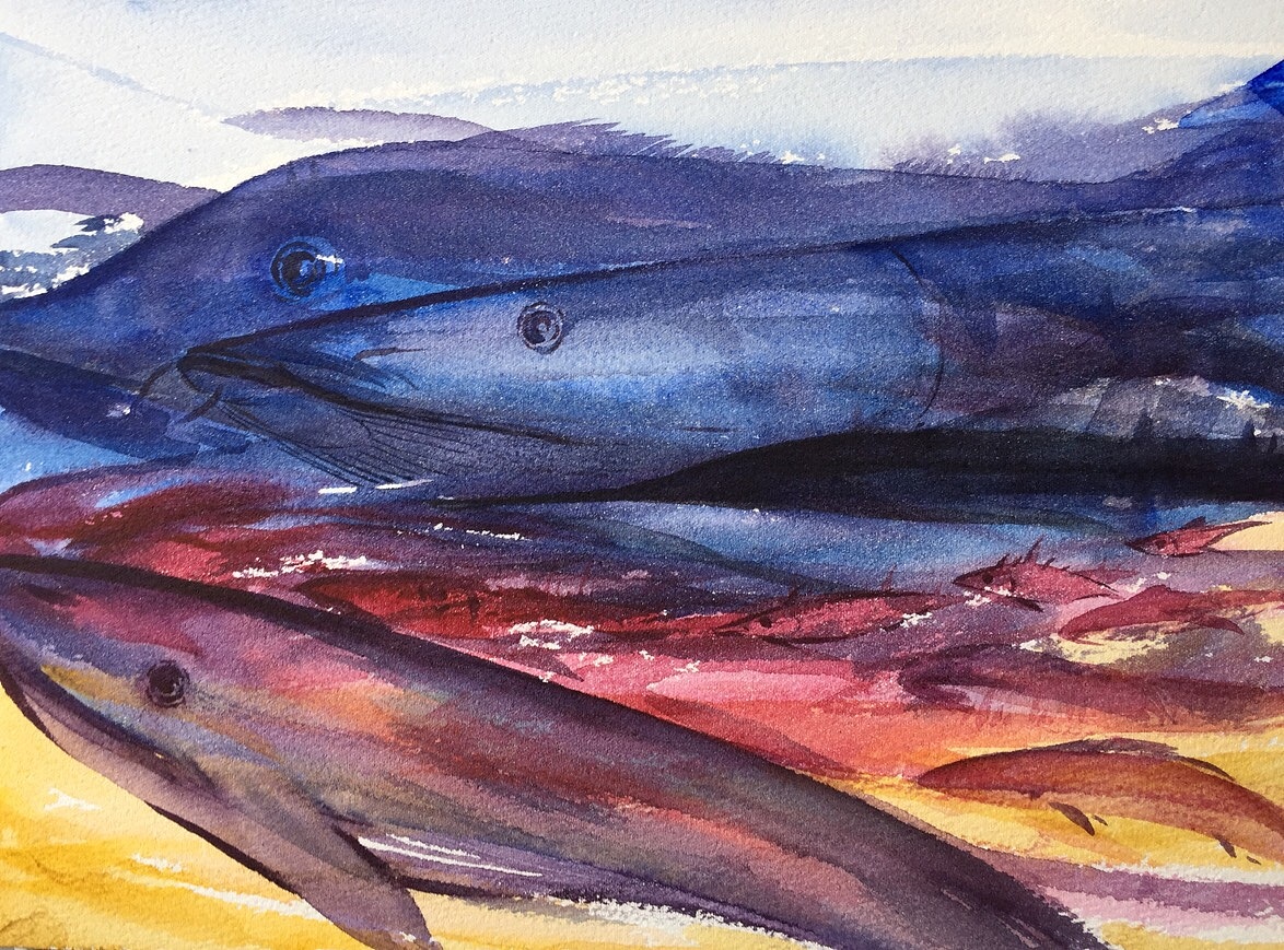 开年鱼（图ZMTkyNDExOTYw） - 绘画 - 站酷设计师赵益嘉原创素材 - 站酷ZCOOL