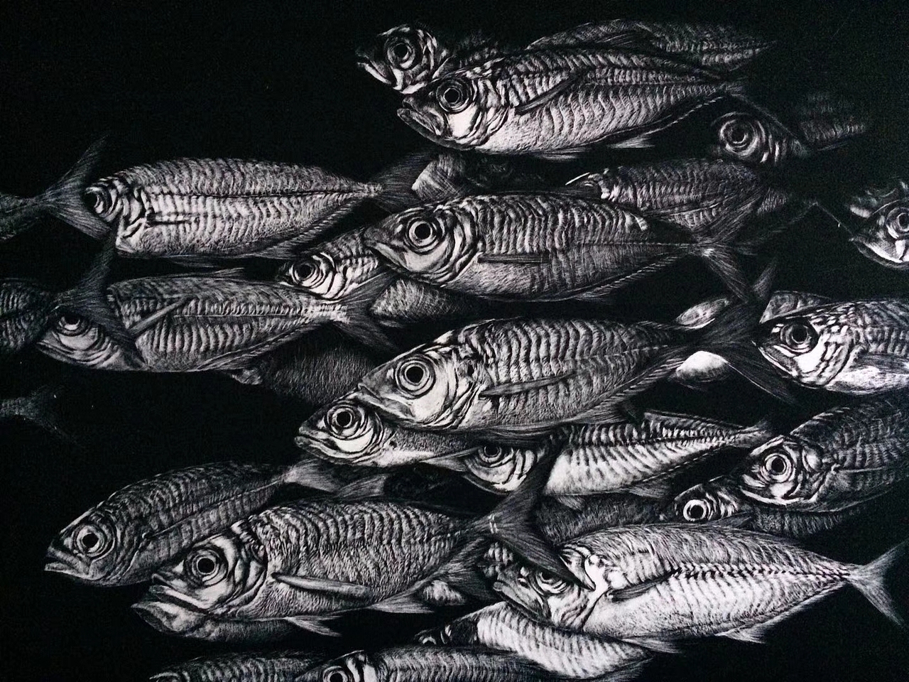 李子哥刮画作品《好多鱼》