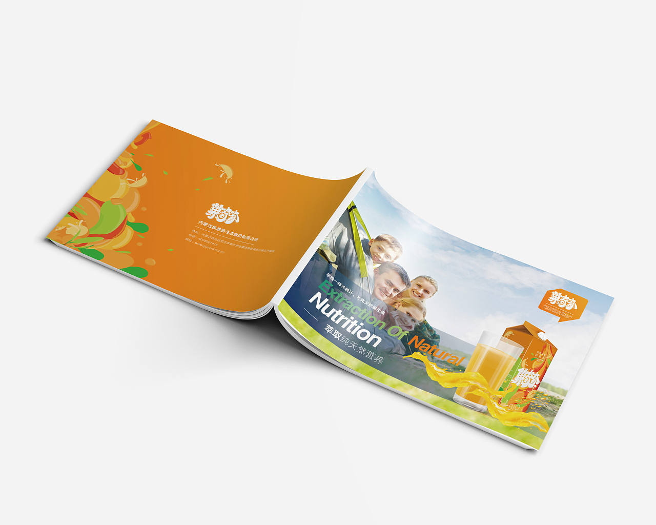 果汁画册饮料画册产品画册时尚