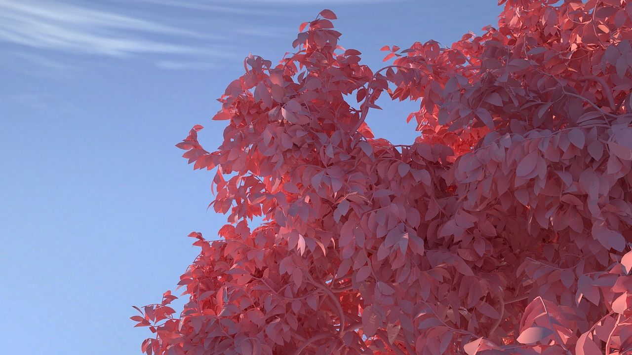 C4D（图ZMjAxNjIxMDg4） - 场景 - 站酷设计师勇敢小憨豆原创素材 - 站酷ZCOOL