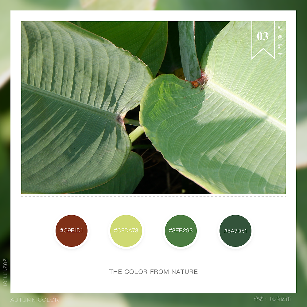 色彩（再力）（图ZMjgyNzQ1OTA0） - 其他 - 站酷设计师风荷宿雨原创素材 - 站酷ZCOOL