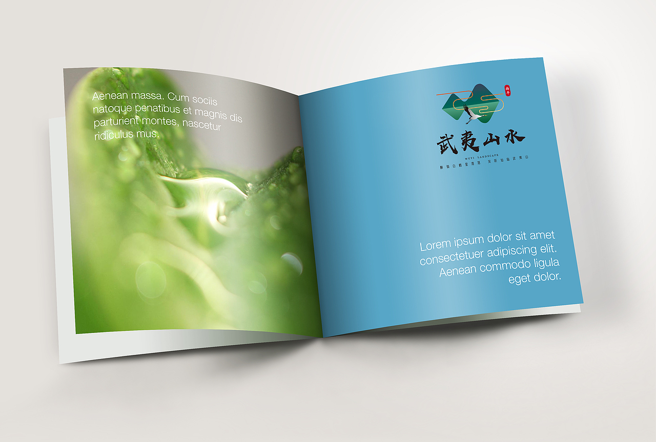 武夷山水logo设计（图ZMTE1MTE0NTI0） - Logo - 站酷设计师远视纪原创素材 - 站酷ZCOOL