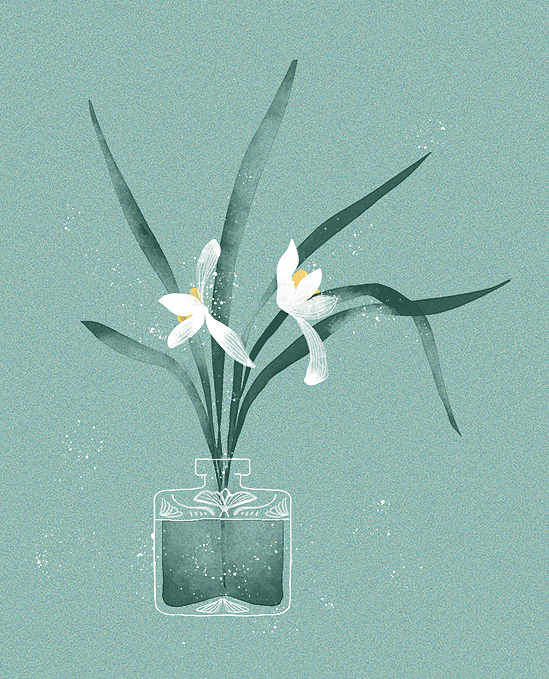 国潮中国风唯美花卉《梦花令》插画 仙气植物明信片