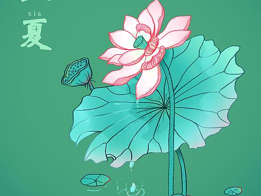 荷花插画