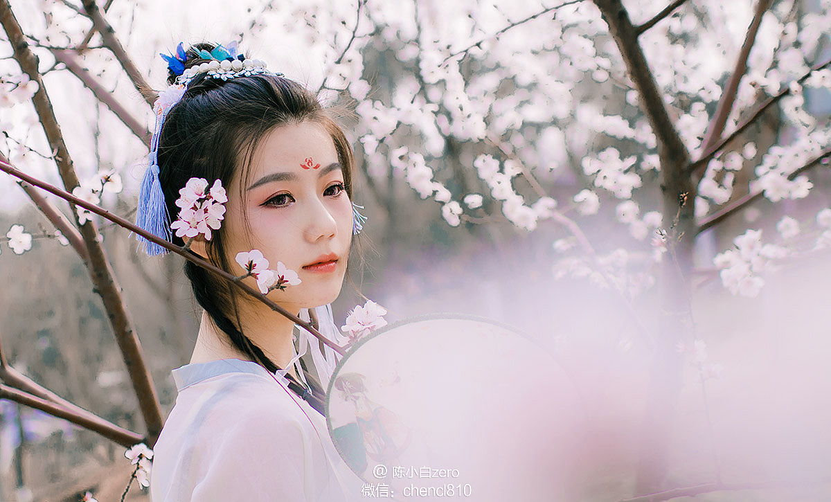 十里桃花沉醉流年