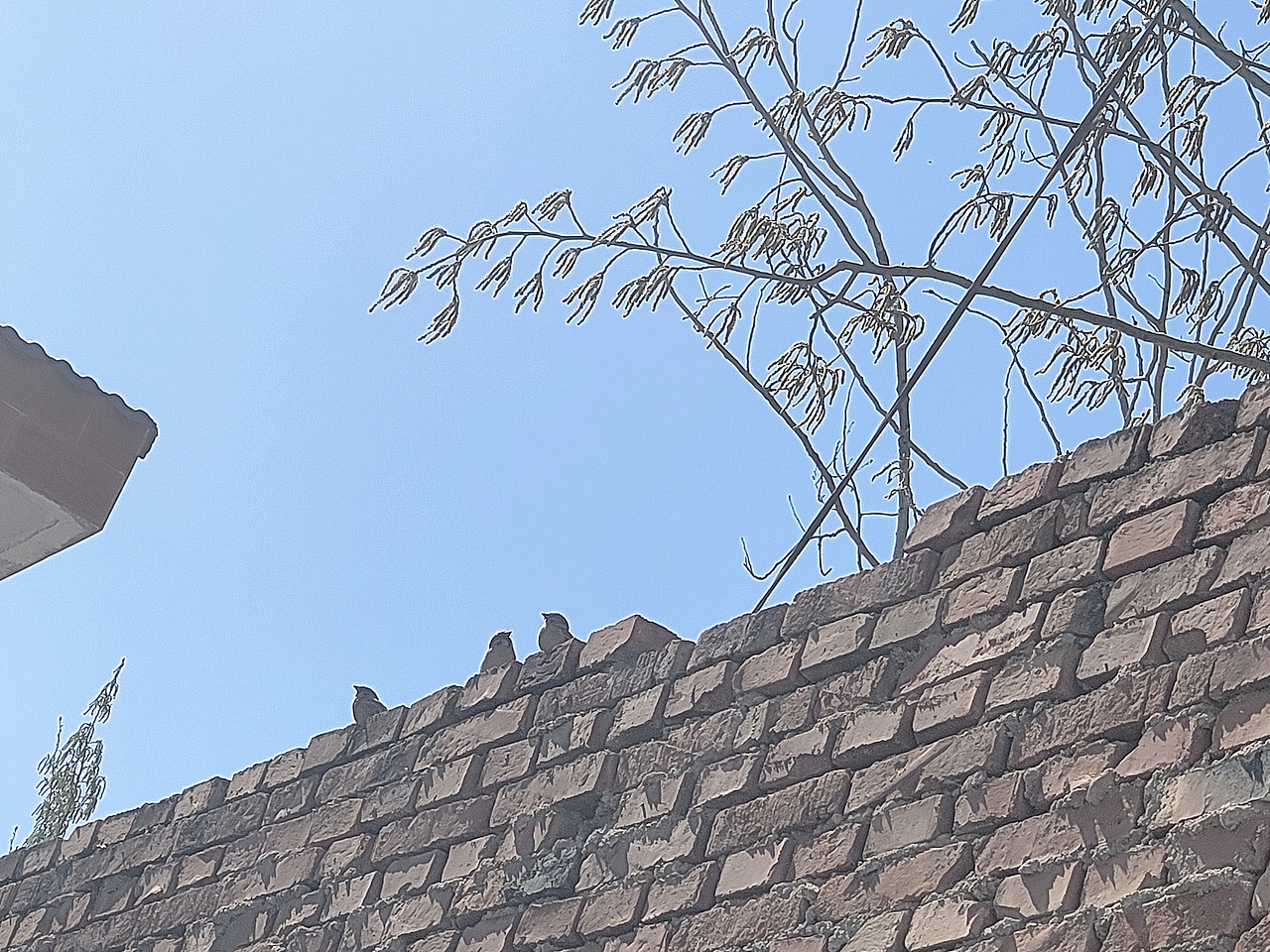 我爱蓝天,偏爱天上的云朵