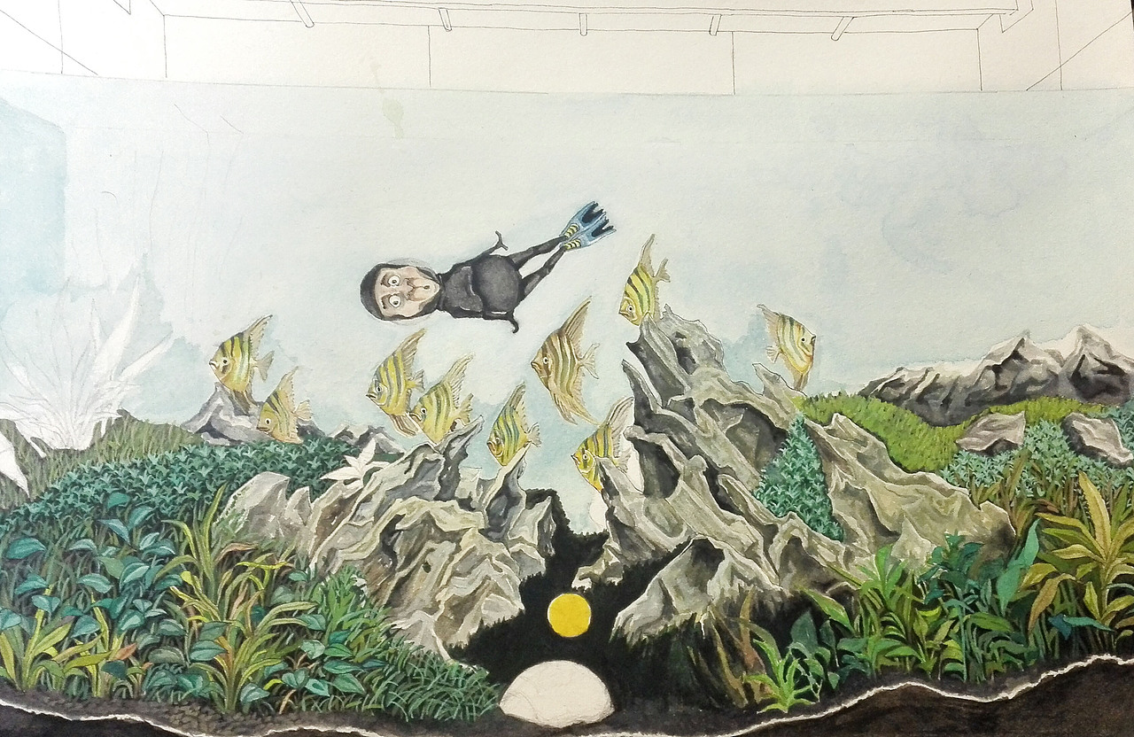 骑鱼去旅行之 八，水族箱（图ZNDY4OTE3MjA=） - 商业插画 - 站酷设计师NIUBOY原创素材 - 站酷ZCOOL