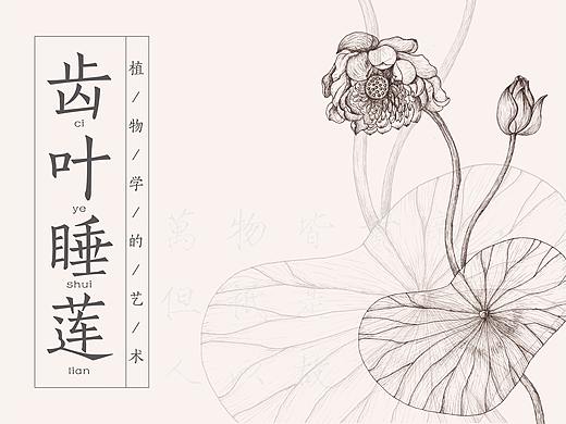 《植物的艺术》