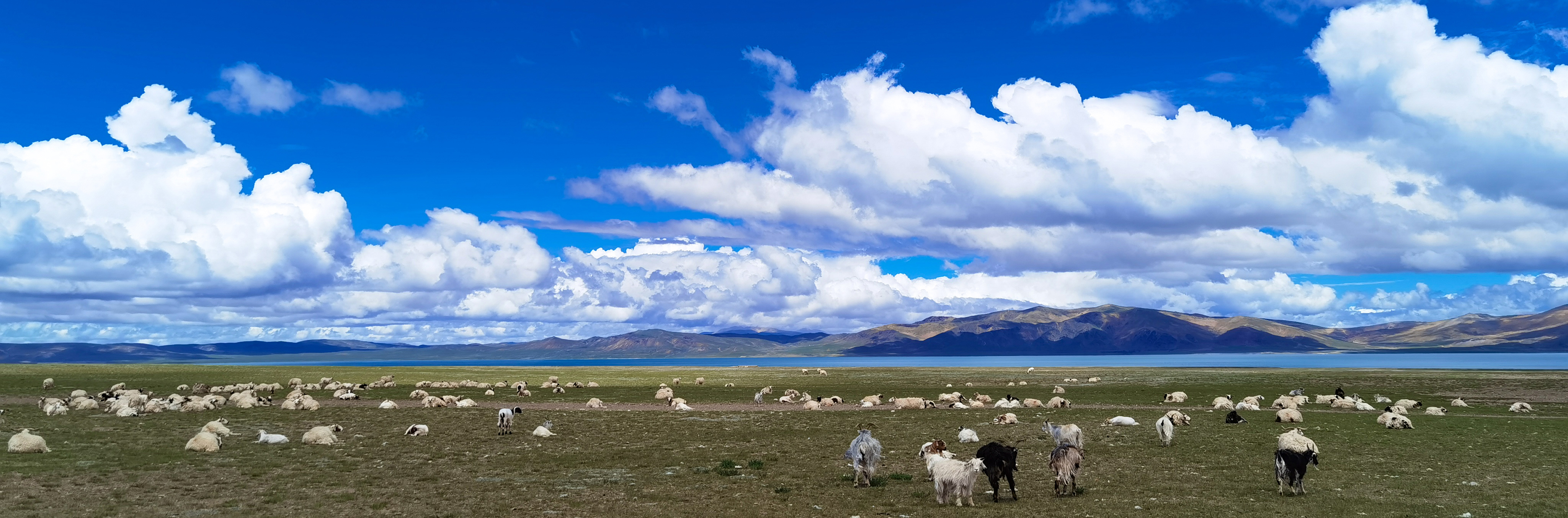 柯Kiko66的个人主页（封面预览） - 主页封面设置 - 站酷设计师柯Kiko66原创素材 - 站酷ZCOOL