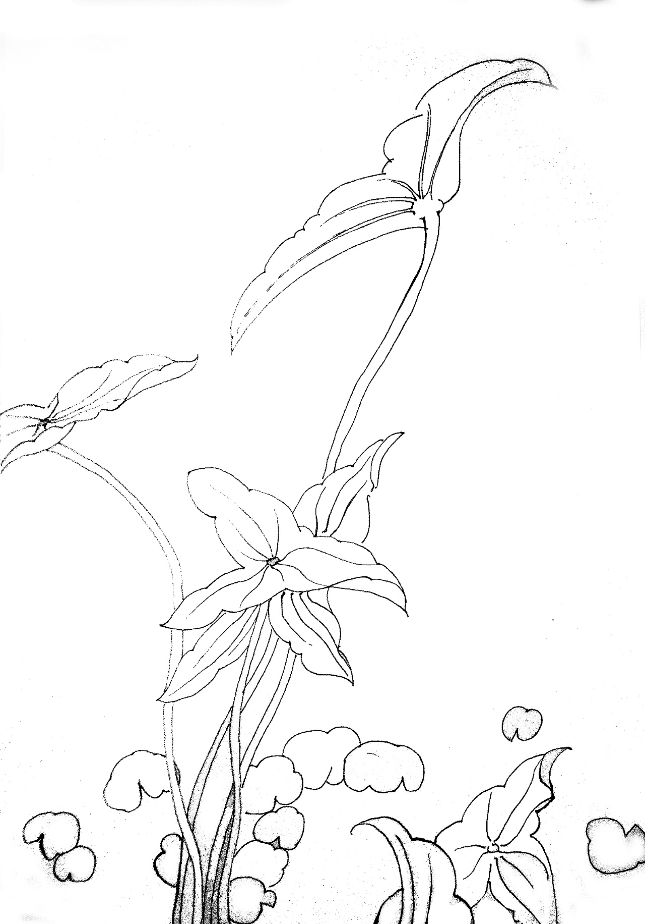 卡通手绘简单花盆花卉设计图片_商业海报_海报设计-图行天下素材网