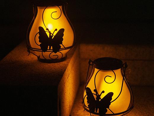 亚马逊蝴蝶灯