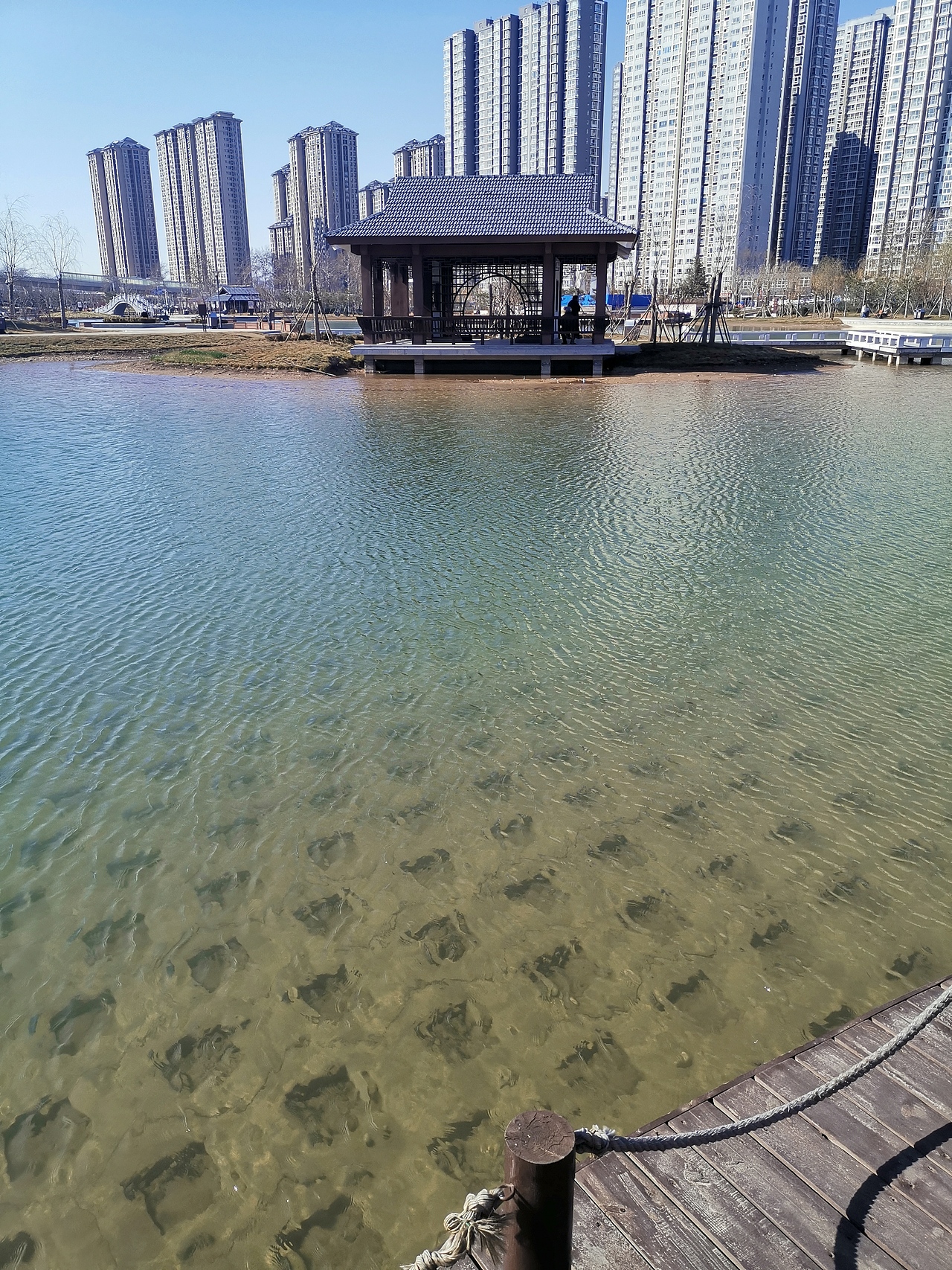 四季交替,白驹过隙