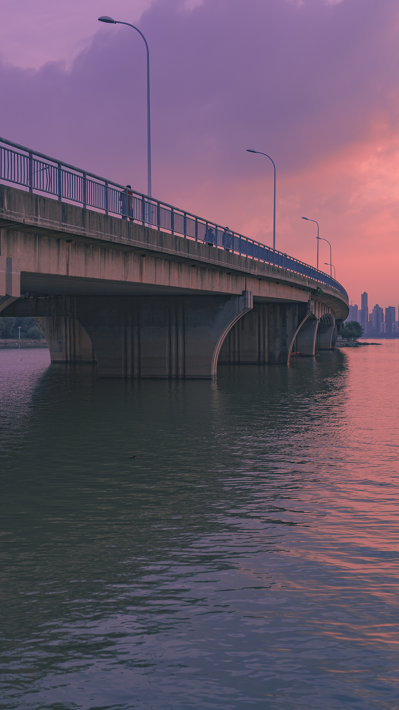 追寻着月亮的云