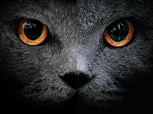 猫眼手绘（个人主页-ZMjk2NjIzMTI=） - 创作习作 - 站酷设计师大华打滑DH原创素材 - 站酷ZCOOL