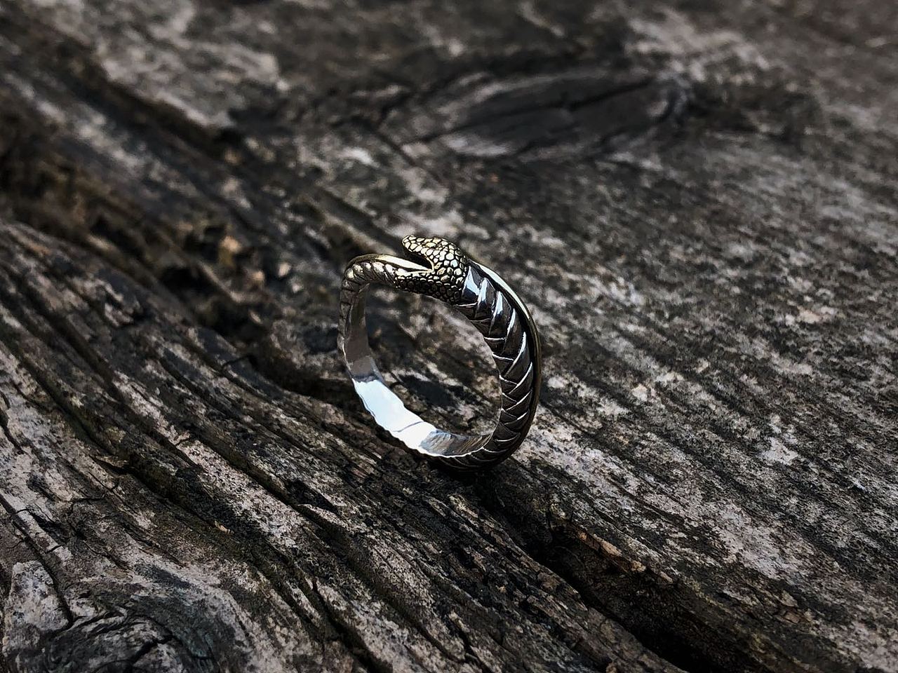 自我吞噬的无限循环衔尾蛇戒指