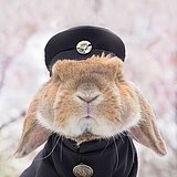 用户头像