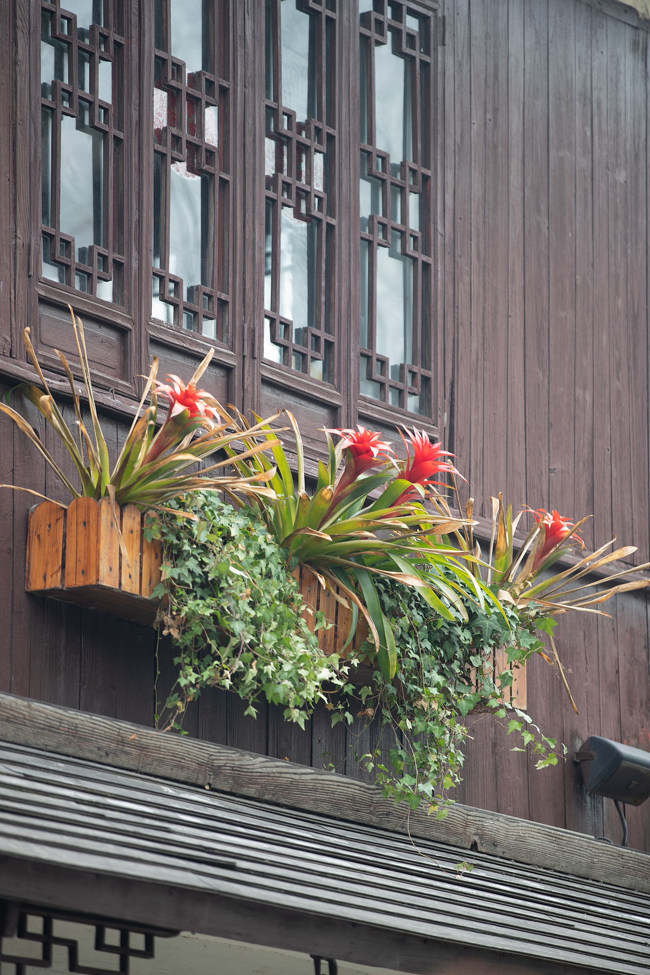 2021静遇周庄（图ZMjY5NjUxMTY4） - 风光摄影 - 站酷设计师延长线_31原创素材 - 站酷ZCOOL