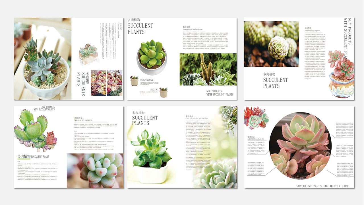 畫(huà)冊(cè)展示（圖ZMTU4MTIxNzQw） - 書(shū)籍/畫(huà)冊(cè) - 站酷設(shè)計(jì)師迷了個(gè)咪原創(chuàng)素材 - 站酷ZCOOL