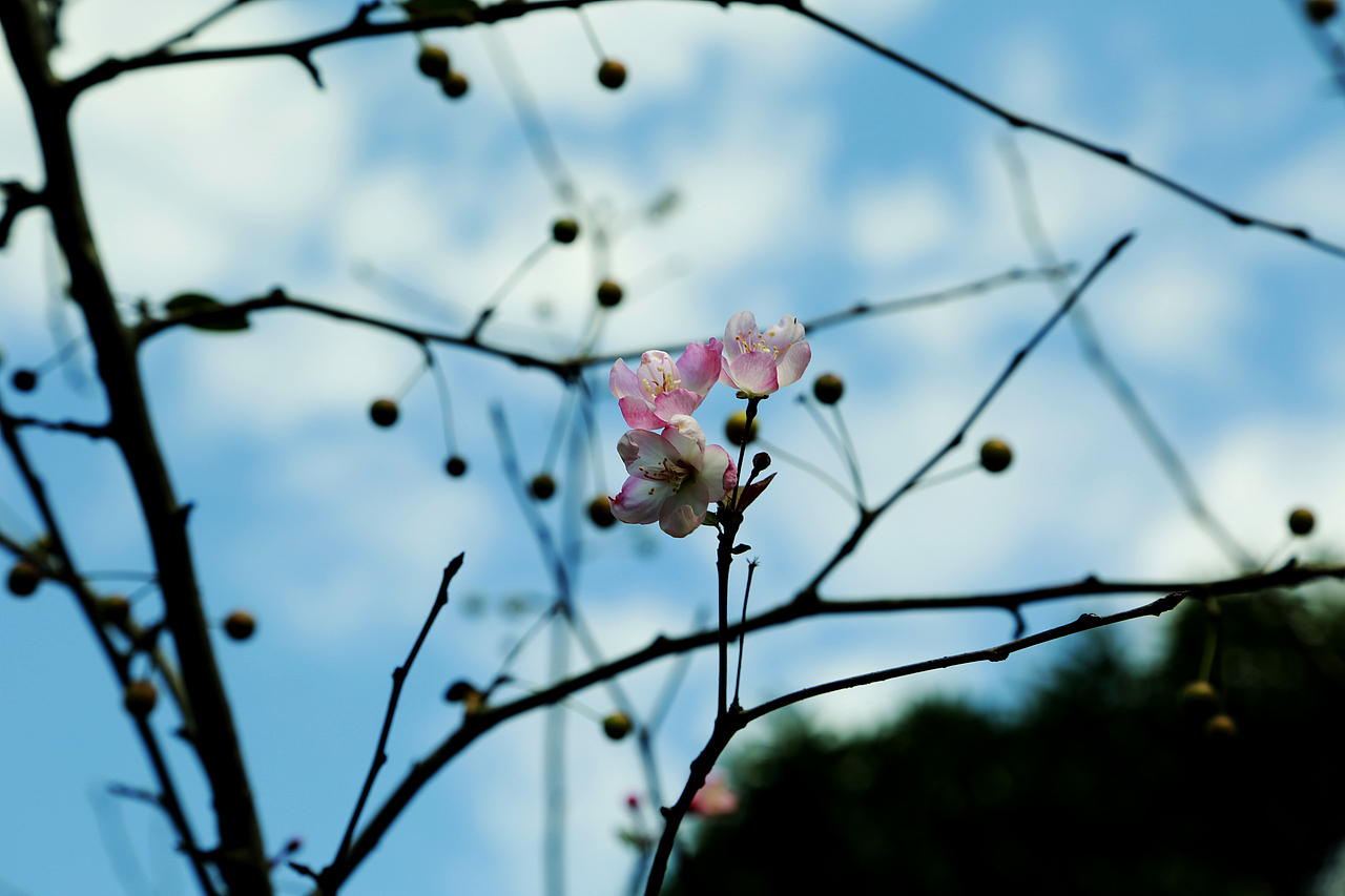 摄影 | 西湖三人行,必有逗比焉