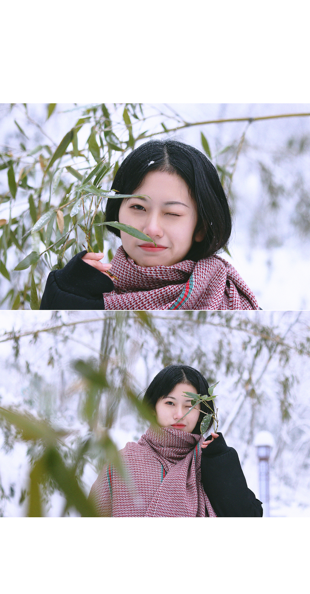 初雪 摄影 喜欢